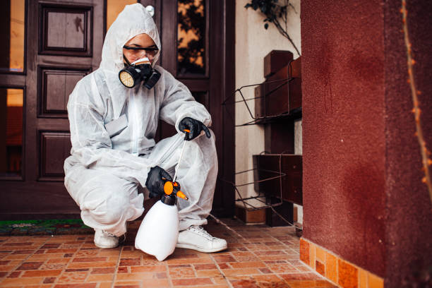 Reliable Cockroach Control contractor in Rathdrum, ID by Nex Pest Control